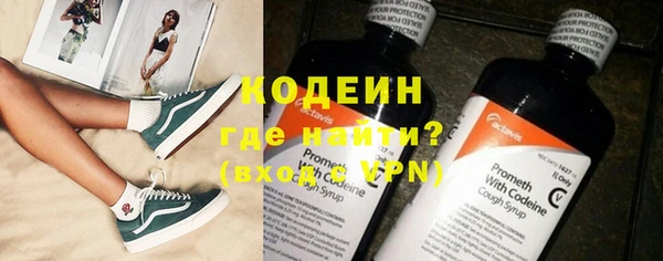 индика Алексин