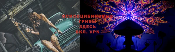 индика Алексин