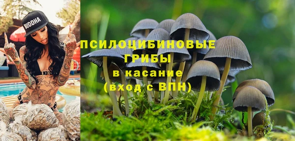 круглые Алексеевка