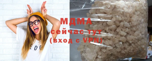 индика Алексин