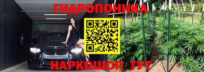 прущие крисы Лесосибирск