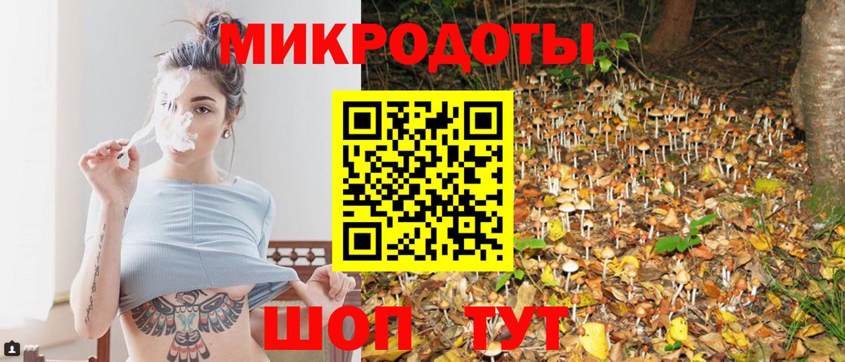 Псилоцибиновые грибы GOLDEN TEACHER Уссурийск