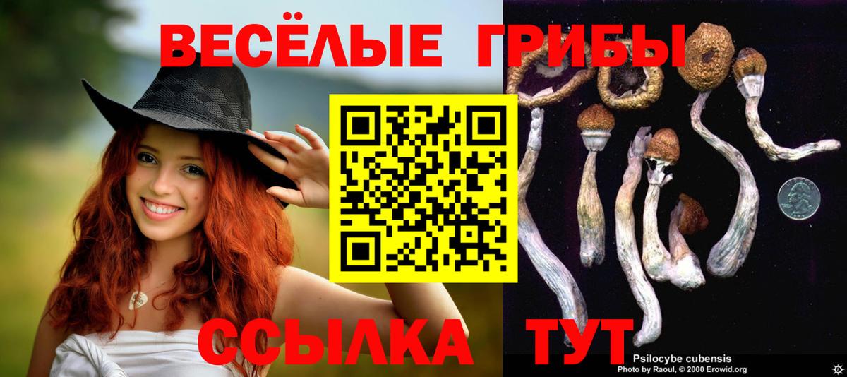 Уссурийск  Псилоцибиновые грибы Cubensis  Вход с VPN  Псилоцибиновые грибы GOLDEN TEACHER 